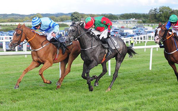 Touchedbyanangel and Adam Short come to beat Billy's Angel and Davy Russell