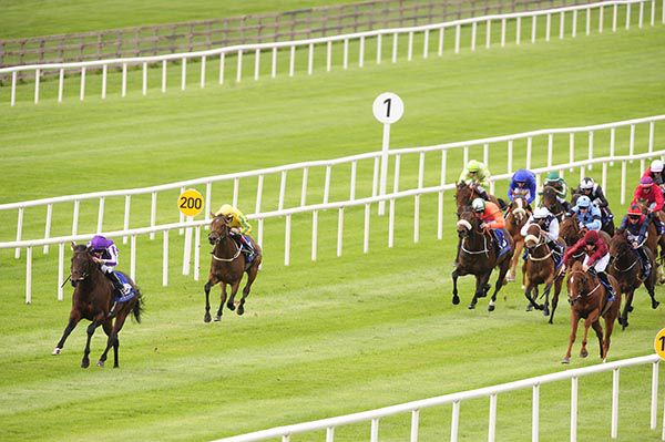 Ten Sovereigns won by seven lengths on his racecourse debut at the Curragh last year