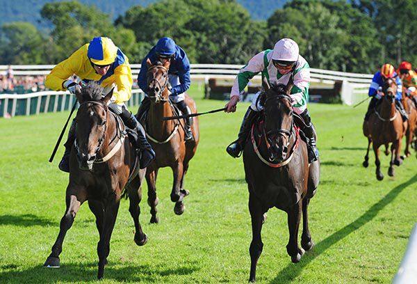 Bobsfirth (left) is ridden out by Derek O'Connor to beat Kilbarry Way and Jamie Codd
