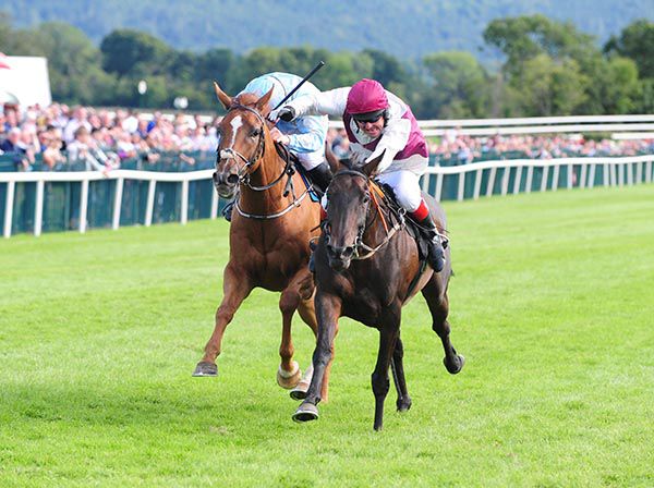 Kingston Girl is ridden out by Derek Kelly to beat Chead Solas