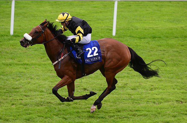 Idalia is clear in the Curragh