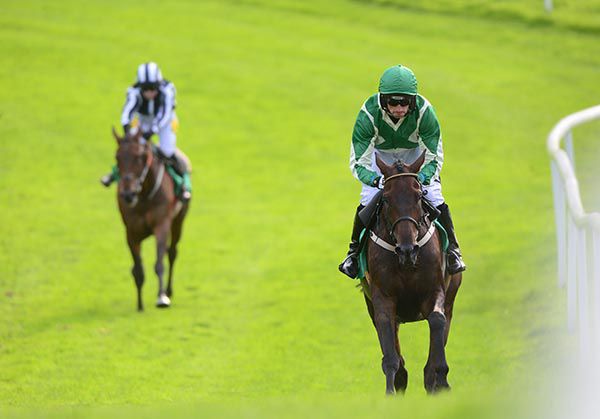 Royal Rendezvous comes home in his own time under Patrick Mulins