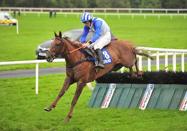 Can't Be Done and David Mullins in winning form