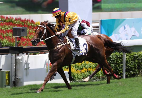 Zac Purton will partner Winner's Way in Sunday's HKSAR Chief Executive's Cup.