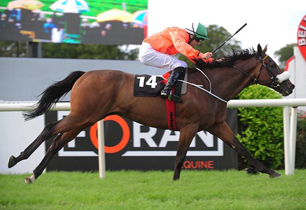 War Room and Conor Hoban