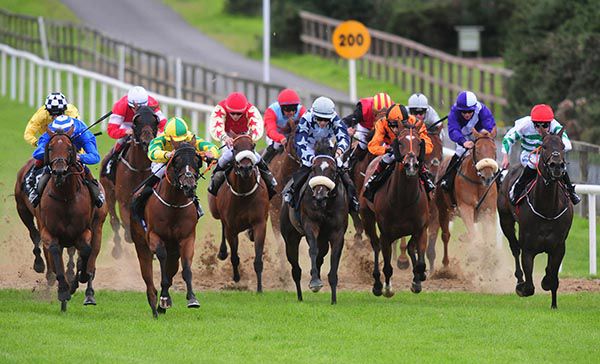 Yellow and green colours Shane Foley wins on Pillar (blinkers) 