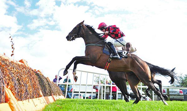 Mohart takes off at the last under Jack Kennedy