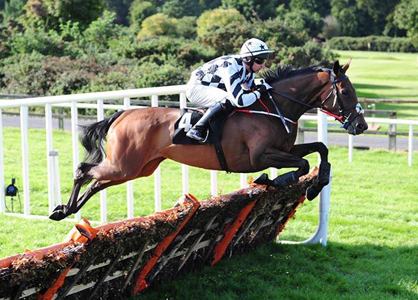 Pearl Of The West and Mark Bolger pictured on their way to victory