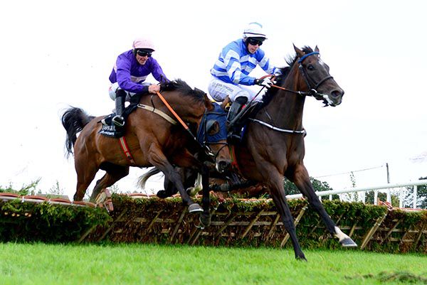 Red Pearl (nearest) clears the last just behind Its All A Lark