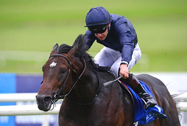 Cardini lands the Premier Nursery under Donnacha O'Brien