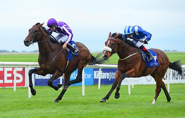 Sir Erec is ridden out by Donnacha O'Brien to beat Jassaar (noseband)