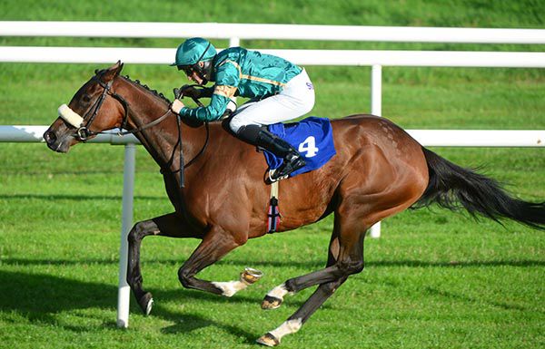 Bongiorno stays on well in Roscommon