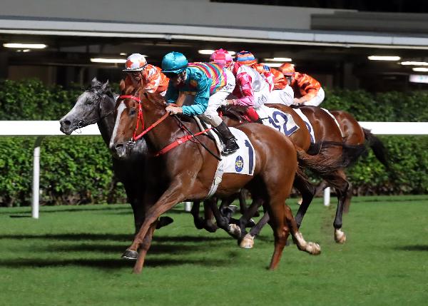 Super Hoppy (No. 1) scores back-to-back wins at Happy Valley last start.
