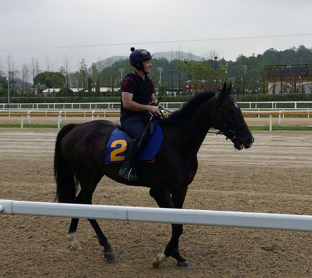 Riven Light at Seoul Racecourse