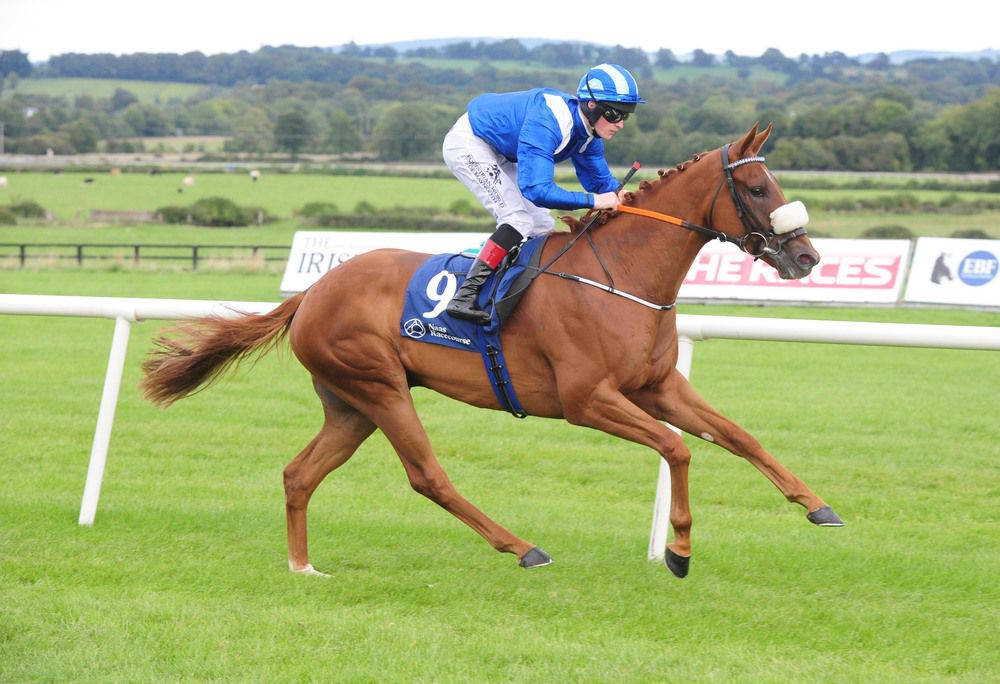 Raphael and Dylan Hogan ease home