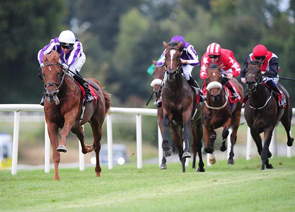 Western Australia beating stablemate South Pacific at Gowran in September