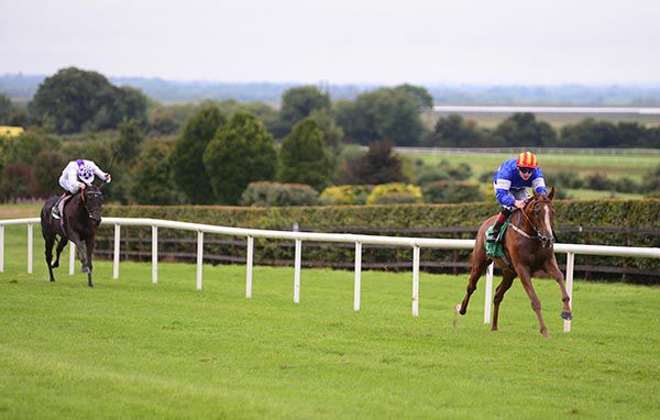 Rocky Blue and Gary Halpin account for Miraculum and Kevin Manning