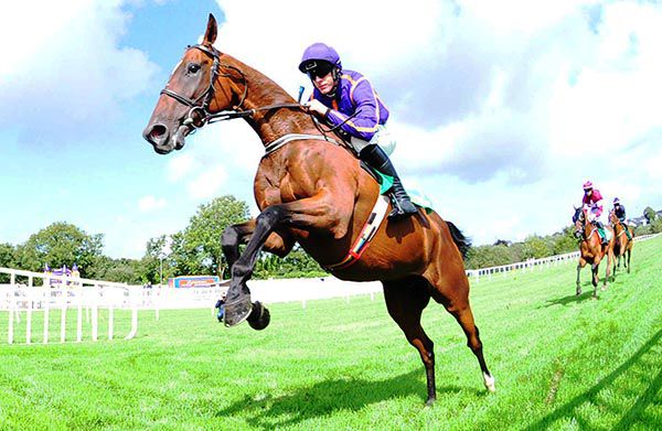 Wicklow Brave and Paul Townend win easily