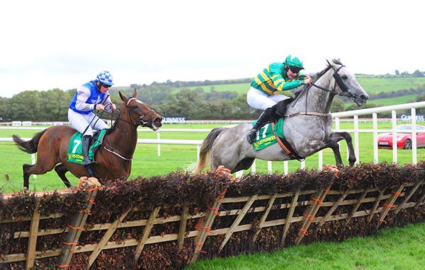 Bay Hill leads Misty Millie over the last