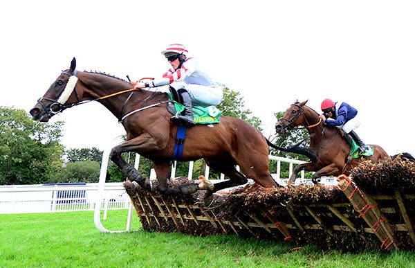 Brex Drago leads Slippery Serpent over the last