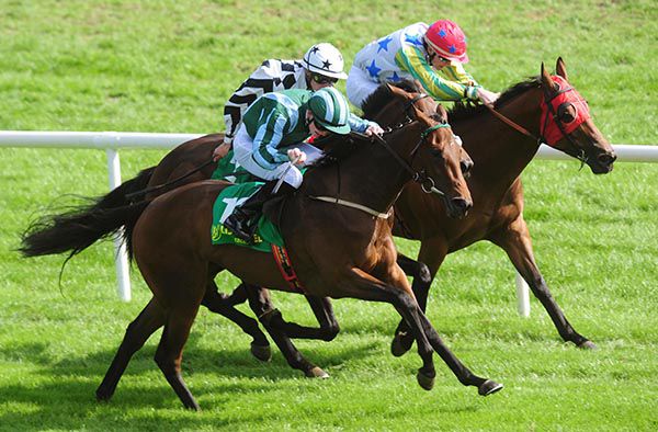 Time Queen comes through to win under Gavin Ryan