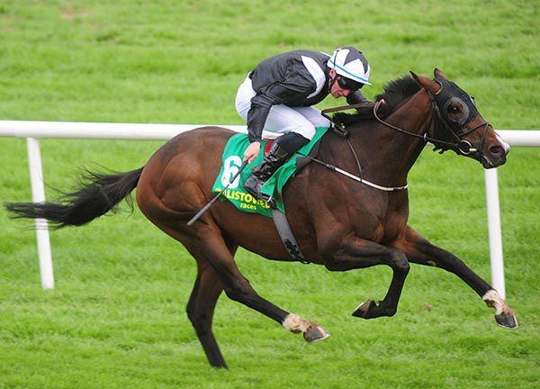 Prosecution and Shane B Kelly