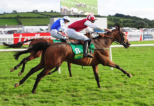 Nibblers Charm (nearside) gets there to win the last at Listowel under Eoin O'Brien