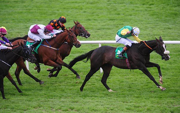 Mr Everest and Robbie Colgan