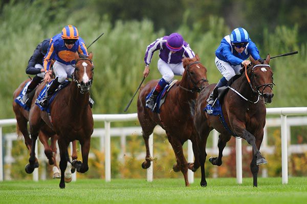 Madhmoon (Chris Hayes) stretches clear at Leopardstown