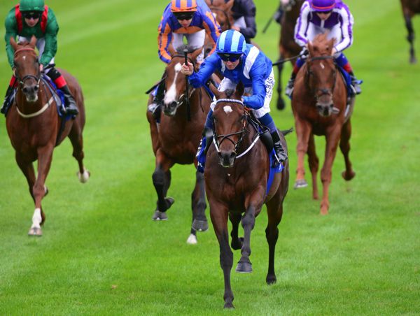 Madhmoon (second right) winning on Irish Champions Weeekend 2018 at Leopardstown.
