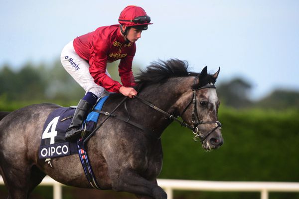                          Roaring Lion