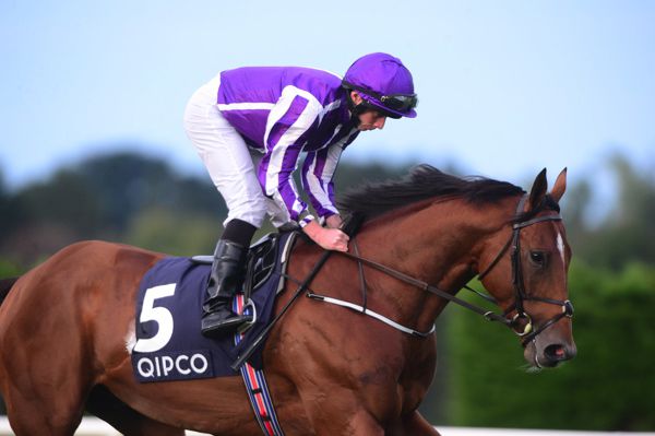 Saxon Warrior and Ryan Moore