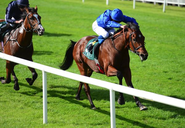 Quorto winning the 2018 National Stakes at the Curragh from Anthony Van Dyck
