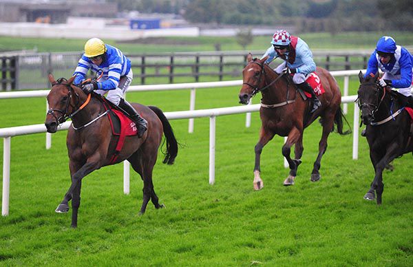 Best Of Dubai leads home her rivals under Jamie Codd