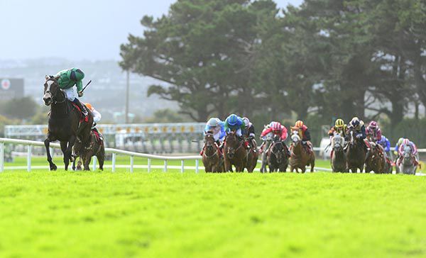 Gentle J and Chris Hayes winning easily for trainer Harry Rogers 