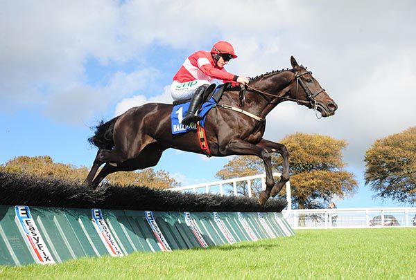 Don't Hesitate and Paul Townend pictured on their way to victory