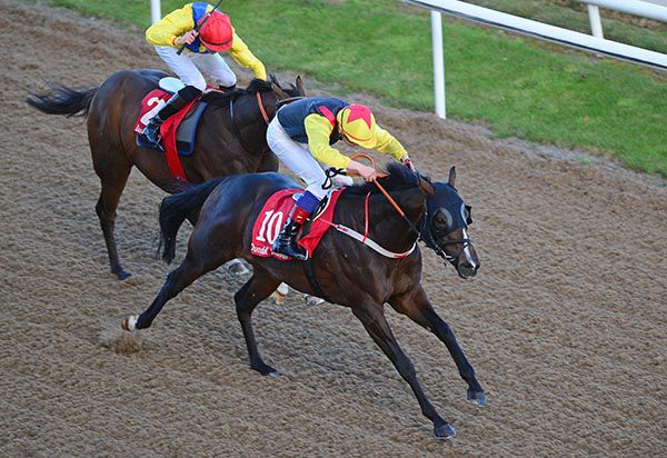 Zig Zag Zyggy is pushed out by Ronan Whelan