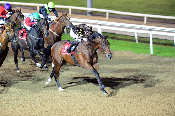 Nimitz leads home his rivals under Tom Madden