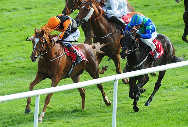 Wichita Line leading