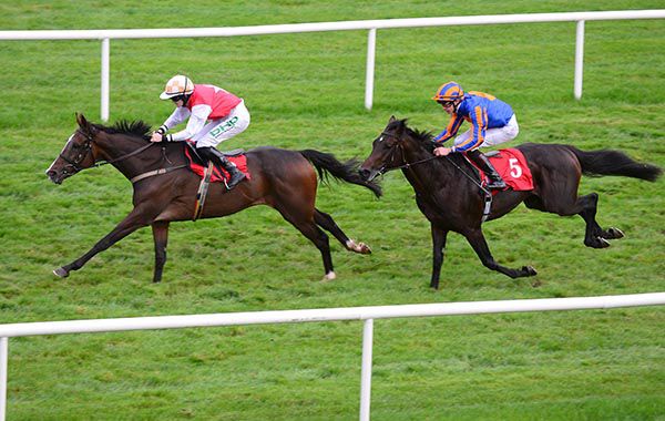 Davids Charm seen here winning at Gowran
