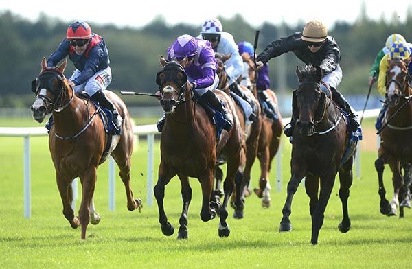 Only The Brave (right)