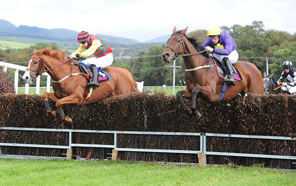 Lake Takapuna (right) and Eight Till Late jump the last together