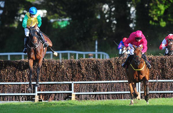 Justmemyselfandi (left) chases Major Destination 