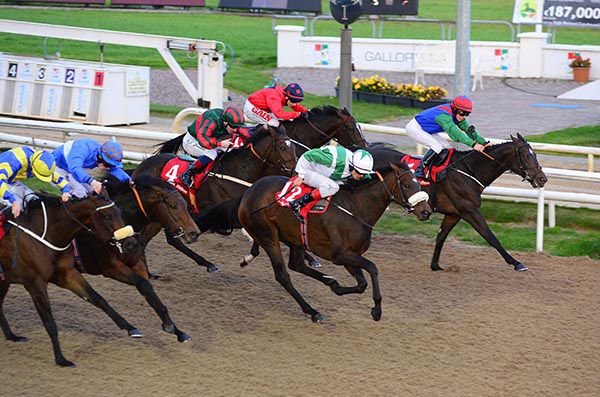 White and green silks Denis Linehan wins on Time Stands Still