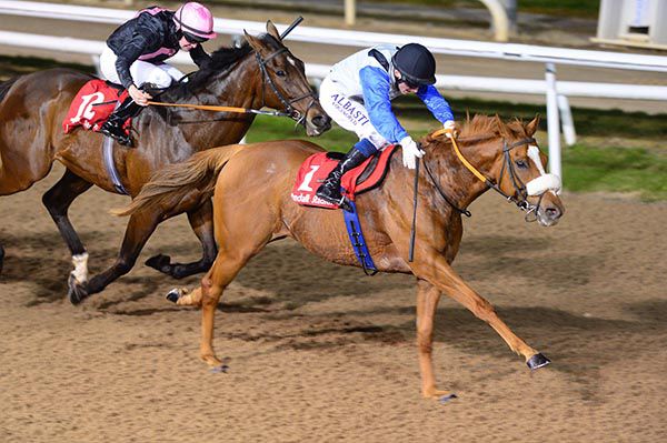Schoolboy Error (Chris Hayes) beats Shake The Bucket (Tom Madden)