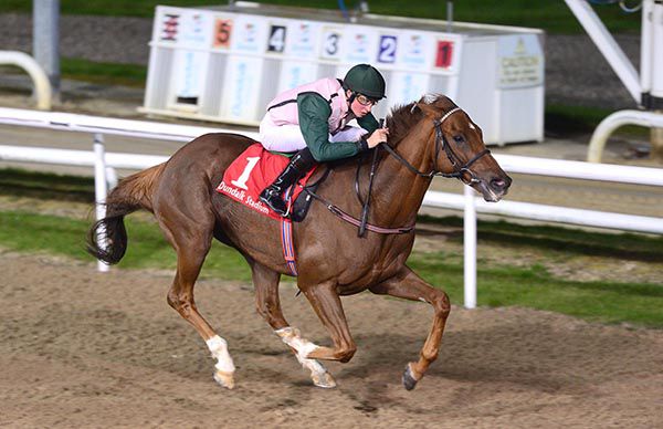 Park Row and Ross Coakley