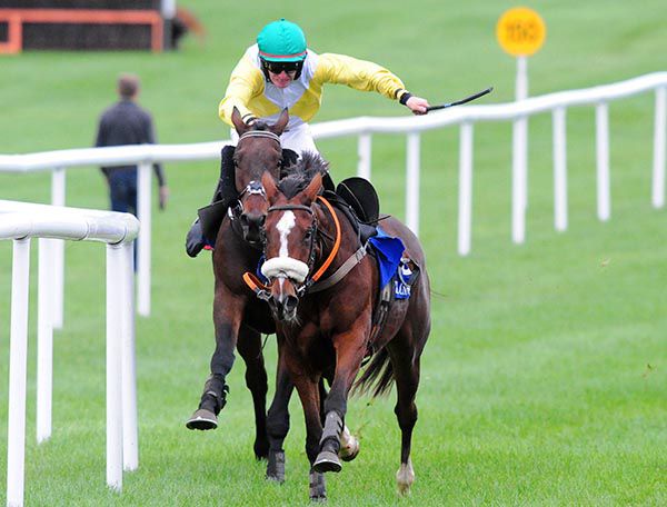 Dundeedy Lad and Philip Enright are guided home by the loose Redwood Boy