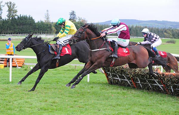 Padraic O Conaire (nearside, Paul Townend) comes to beat Balinaboola Steel (Danny Mullins)