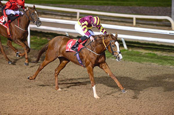 Bittersweet and Ben Coen