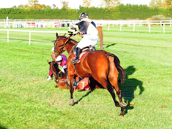 Oh Me Oh My and Philip Enright take advantage of Mitchouka and Davy Russell's fall